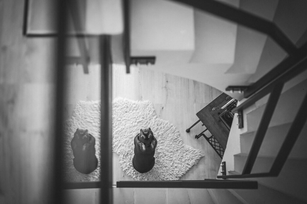 Hund (französische Bulldogge) schaut hoch, spiegelt sich in Glasbrüstung zwischen einer Treppe, Fotograf in Kaiserslautern, Chtoma Photography